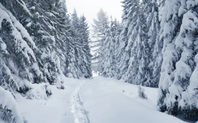 Get your Car Winter-Ready and Enjoy a Safe, Worry-Free Drive